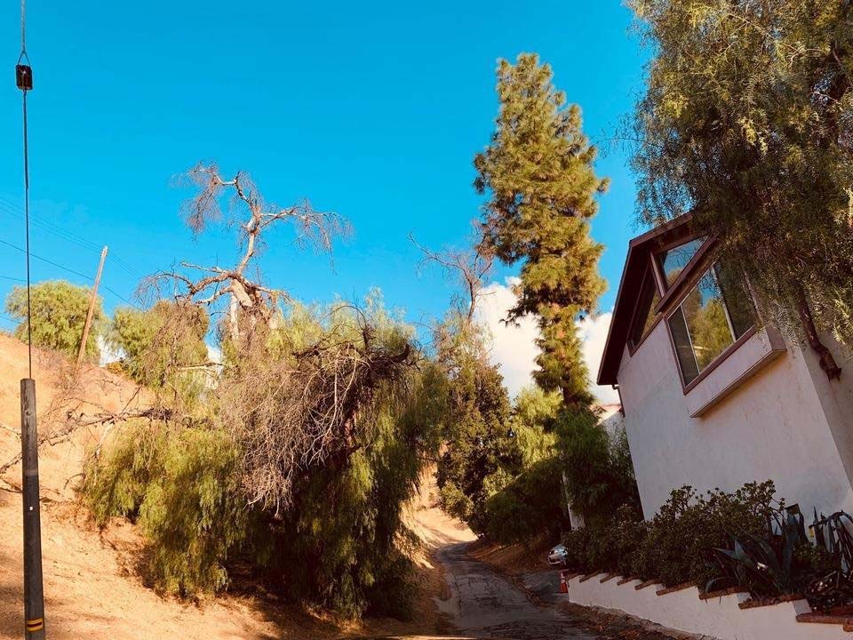 20927 Calimali Rd, Woodland Hills, California 91364