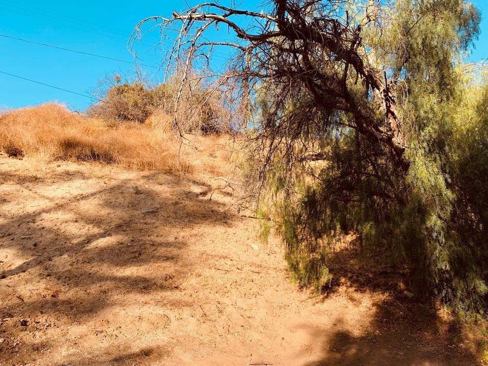 20927 Calimali Rd, Woodland Hills, California 91364